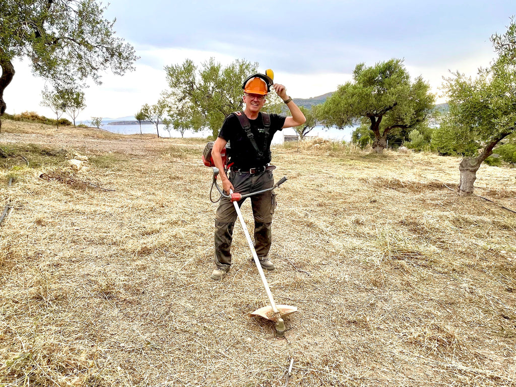 Olivenbauer Markos mit Schutzhelm, Motorsense und Arbeitskleidung bei der Pflegearbeit im Olivenhain von MARKOS OLIVE – frisch gemähte Fläche unter Olivenbäumen mit Blick aufs Meer im Hintergrund.
