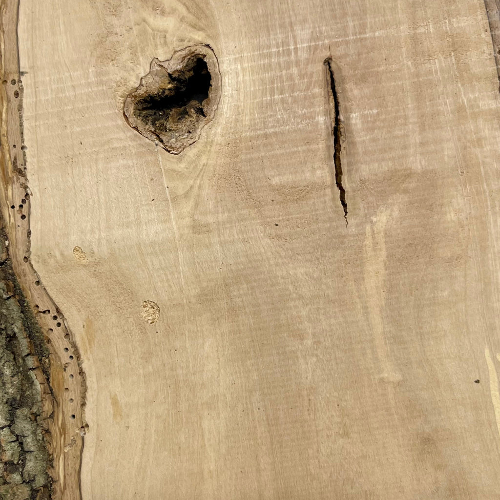 Längsriss und kleine Insektenstiftlöcher an der Naturkante des Olivenholz-Bretts W505.