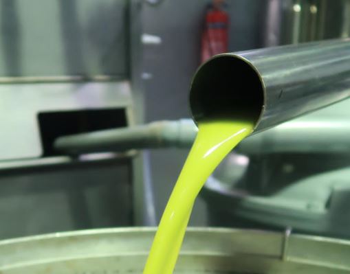 Leuchtend grünes, ungefiltertes Olivenöl fließt aus einem Edelstahlrohr in einen Auffangbehälter – ein Moment aus der Olivenölproduktion, der die Frische, Reinheit und Qualität des kaltgepressten Olivenöls direkt nach der Extraktion zeigt.