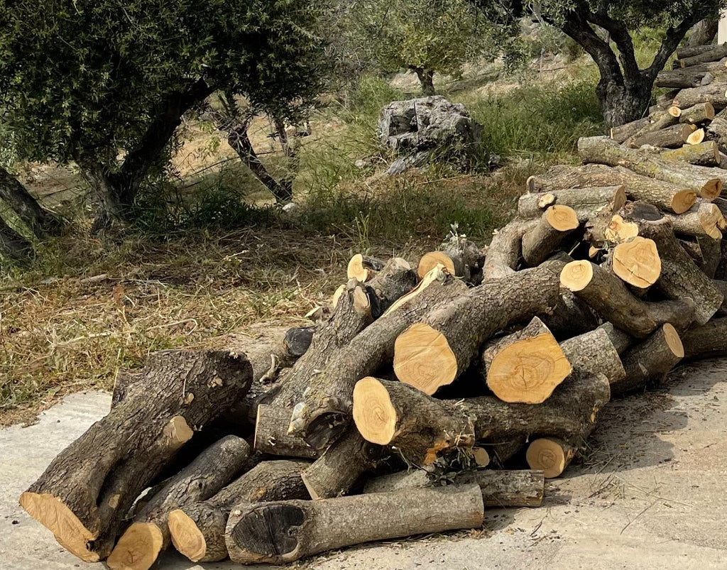 Ein Stapel frisch geschnittener Olivenholzstämme liegt auf einem Weg im Olivenhain. Die Schnittflächen zeigen die markante Maserung des Holzes, umgeben von natürlicher Vegetation und alten Olivenbäumen – ein nachhaltiger Rohstoff aus traditioneller Pflege.