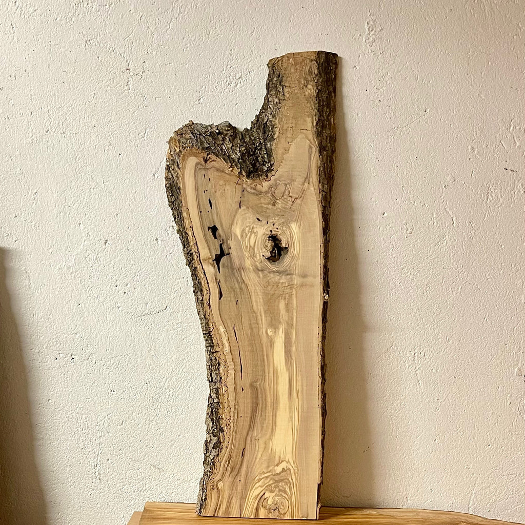 Massives Olivenholzbrett W515 mit Rinde und natürlichen Spuren früherer Bewohner.