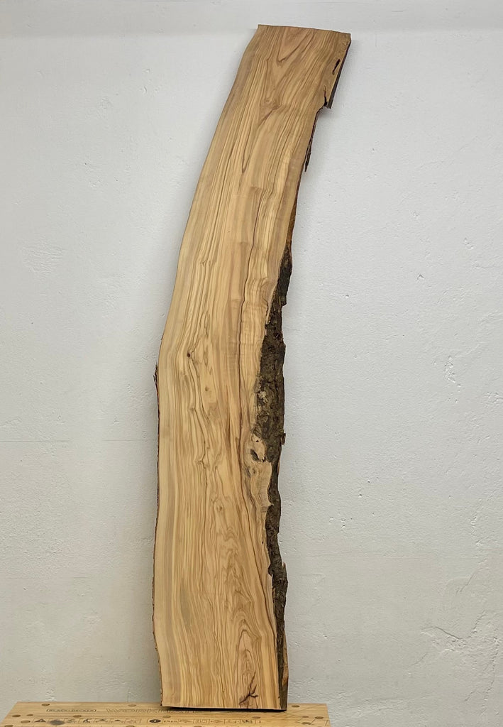 Gesamtansicht einer massiven Olivenholzbohle mit charaktervoller Krümmung und markanter Maserung – linke Seite mit Astansatz und lebendiger Struktur.