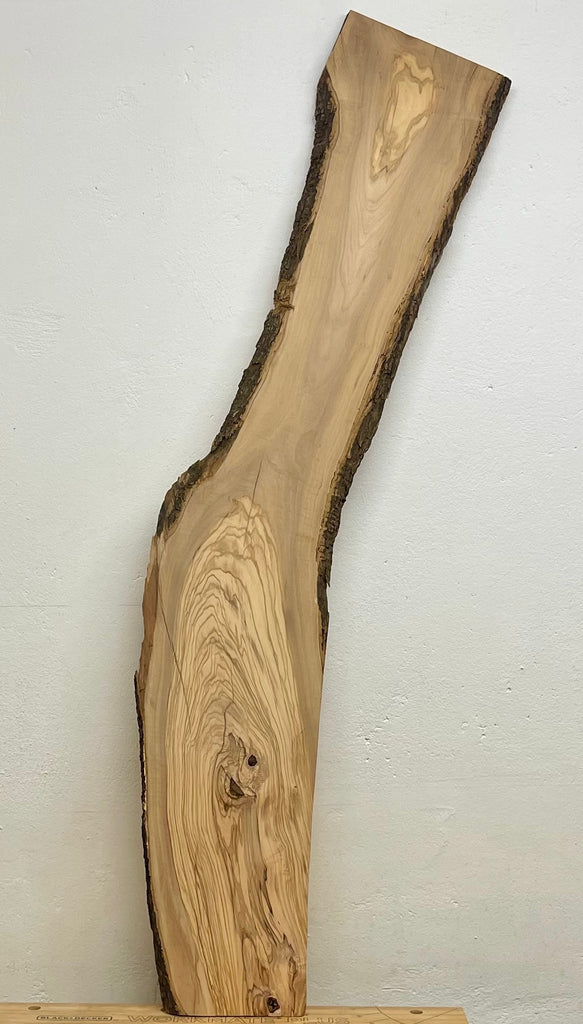 Komplettansicht einer schmalen, gekrümmten Olivenholzbohle mit markanter Maserung, Astlöchern und durchgehender Rinde – ideal für Wand- oder Möbelprojekte.
