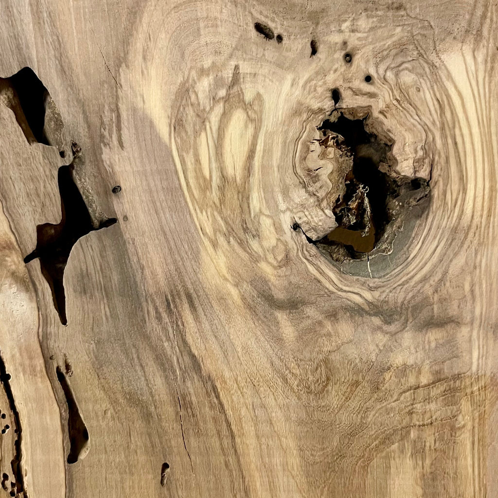 Alte termitenlöcher und Rindeneinschlüsse als naturbelassene Merkmale im Brett W515.