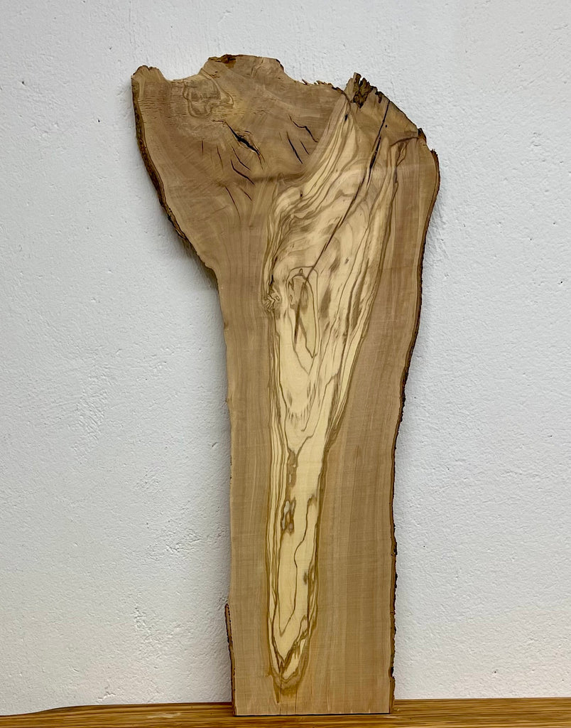 Rückseite des Olivenholz-Bretts W506 mit Splintholz-/Kernholz-Kontrasten und Naturkante.