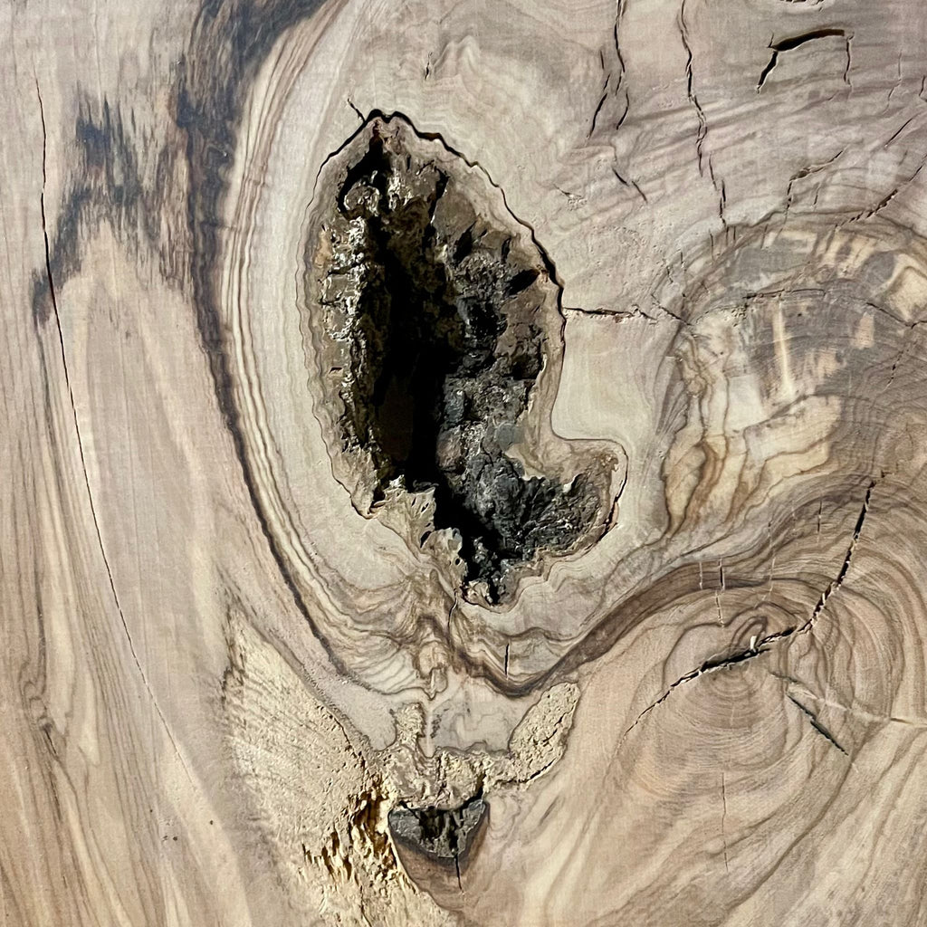 Detailaufnahme der Holzstruktur mit Rissen und Farbschattierungen